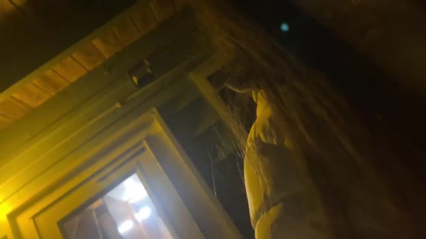 manicpixiedreamfrog Chaturbate Couple 17-01-2026