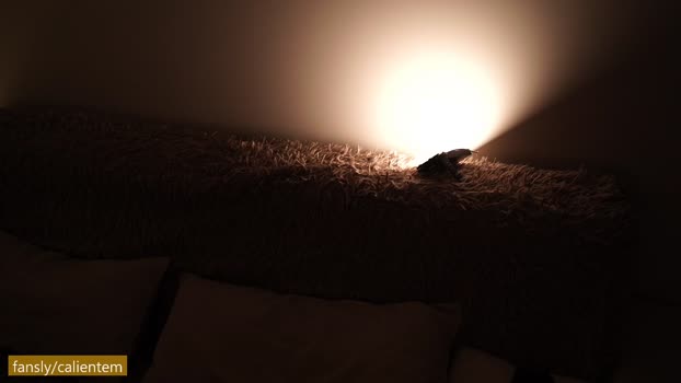 ms_seductive Chaturbate Female 16-01-2026