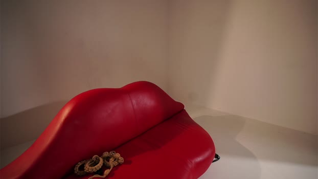 _meganmeow_ Chaturbate Female 26-01-2026