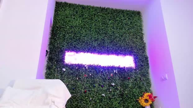 hotfallingdevil Chaturbate Female 26-01-2026