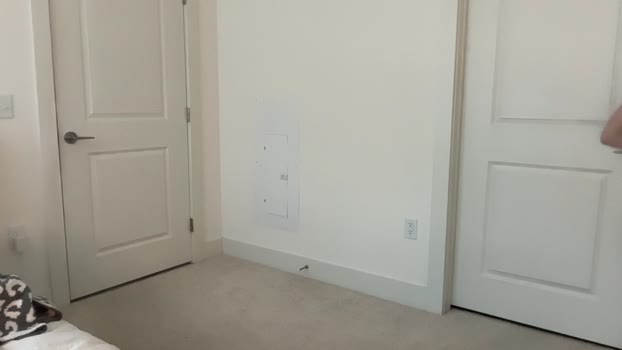 willoww888 Chaturbate Female 28-01-2026