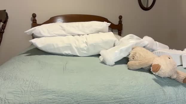 ellalowe Chaturbate Female 02-02-2026