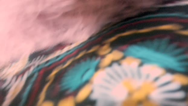 molly_and_paul Chaturbate Couple 03-02-2026