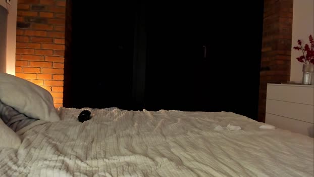 rachel_rey Chaturbate Couple 02-02-2026