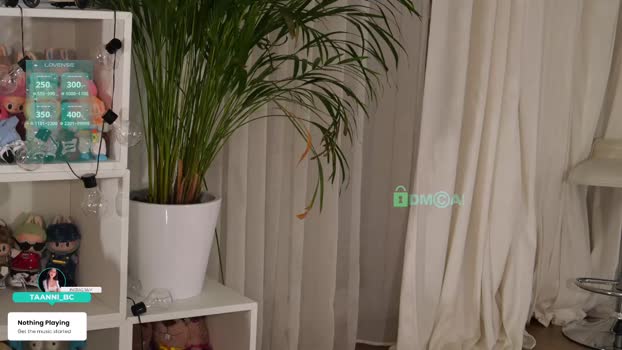 taanni_bc Chaturbate Female 03-02-2026