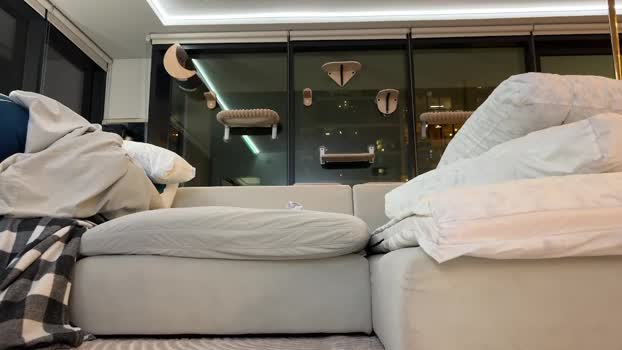 graciemae_baexx Chaturbate Couple 06-02-2026