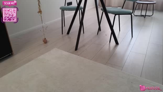 delorathecookie Chaturbate Female 14-02-2026