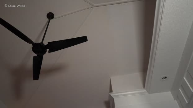 chloewildd Chaturbate Female 21-02-2026