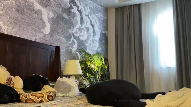 yuanlili Chaturbate Female 22-02-2026