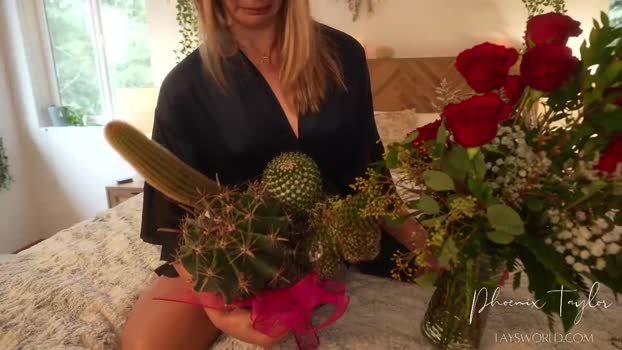 phoenix_taylor Chaturbate Female 23-02-2026