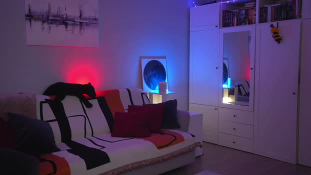 _blackbee_ Chaturbate Female 25-02-2026