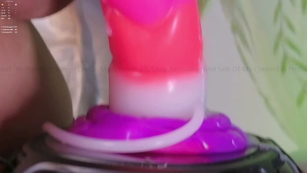 mollyflwers Chaturbate Female 01-04-2026