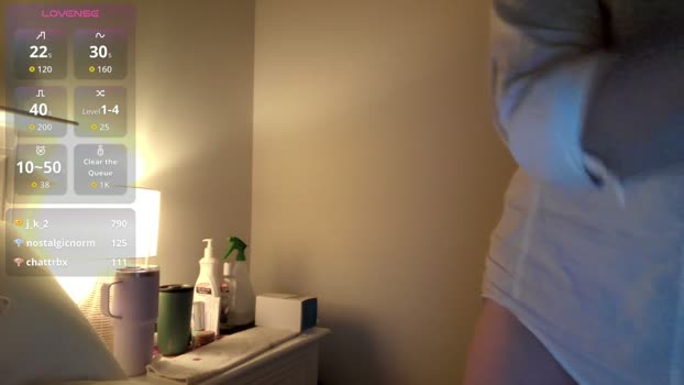 onedayillbroadcast Chaturbate Female 02-04-2026