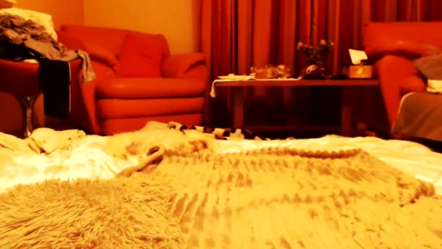 andrasweetie 23-07-2026 sexykitty sweet suck ass Recording