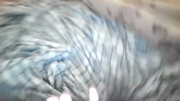 rrreyyy 29-07-2026 kinky big tits Recorded Recording