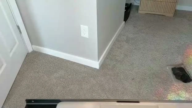 scarletterose_504259 29-07-2026 cute Webcam tits spanking Recording