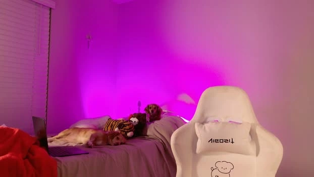 elisparadisex 13-08-2026 show sexygirl prettyface bigass Recording