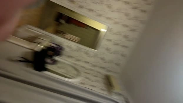 spiders555