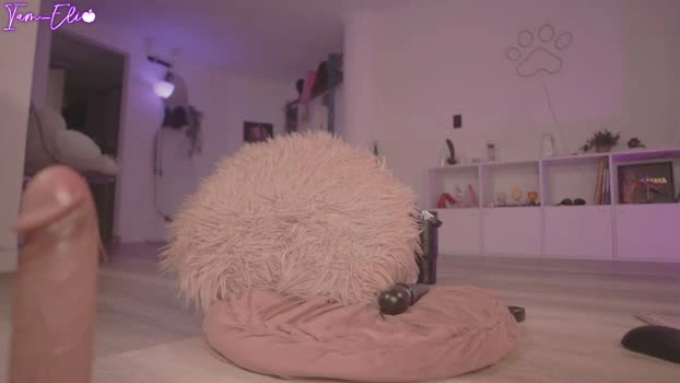 iam_eli 27-08-2026 fuckass big sucktits moan Recording